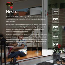 Hestra Flyer 2023
